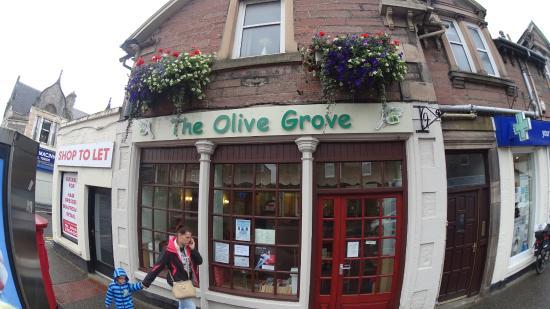 The Olive Grove